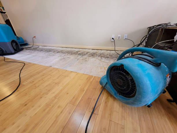 Professional Structural Drying technician working in Comfort, WV